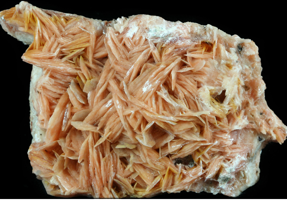 <ul><li><p>BaSO<sub>4</sub></p></li><li><p>occurs in accessory to rock forming amounts in some types of hydrothermal vein deposits, MVT Pb-Zn deposits, and carbonatites</p></li><li><p>very common trace/ accessory mineral in sed carbonate rocks</p></li><li><p>common in low-T hydrothermal veins</p></li><li><p>associated with galena</p></li><li><p>industrial uses and mined economically </p></li><li><p>colours- whites, colourless, pinkish, yellowish, blue</p></li><li><p>habits- massive, granular, radial, bladed aggregates, tabular, prismatic</p></li><li><p>recognized by: habit, perfect cleavage, high density</p></li></ul><p></p>