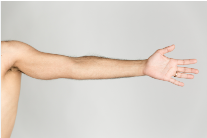 <p>arm/s</p>
