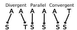 <ul><li><p>Occurs in <strong>related species</strong> with a <strong>common ancestor</strong></p></li><li><p>Species evolve <strong>similar traits independently</strong></p></li><li><p>Example: <strong>Two monkey species</strong> with similar features</p></li></ul><p></p>