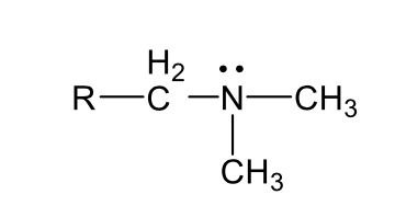 <p>Basic Functional Group </p><p>2. Pyridine type nitrogen, PKb:7-9 are sp2 hybridized and are 1</p><p>million times weaker bases than aliphatic amines. This is due to</p><p>the larger s orbitals % (closer to the nucleus and as such, e- are</p><p>more tightly held).</p>