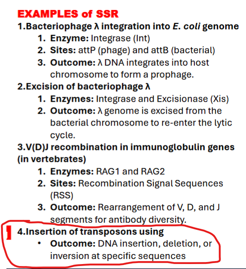 <p>what are examples of SSR </p>