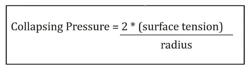 <p>-collapsing force; alveoli</p><p>-easy to remain open</p><p>-difficult to remain open</p><p>-low collapsing pressure</p><p>-high collapsing pressure</p><p>-low collapsing pressure</p>