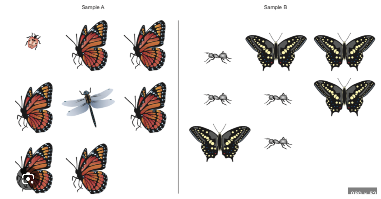 <p>which one has higher species richness an why?</p>