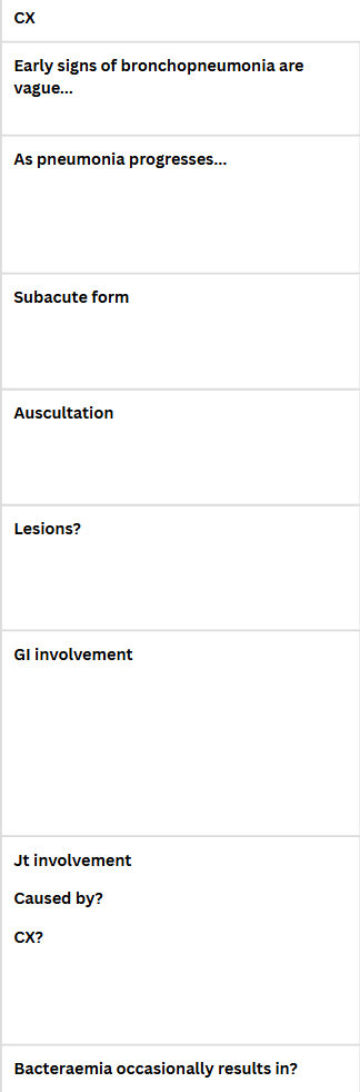 <p>BACTERIAL PNEUMONIA IN OLDER FOALS - Rhodococcus equi</p>