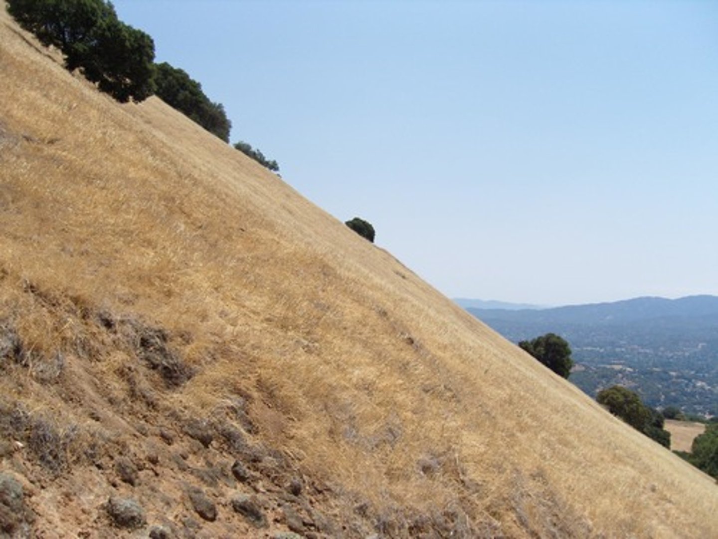 <p>An incline or slope; the rate of incline</p>