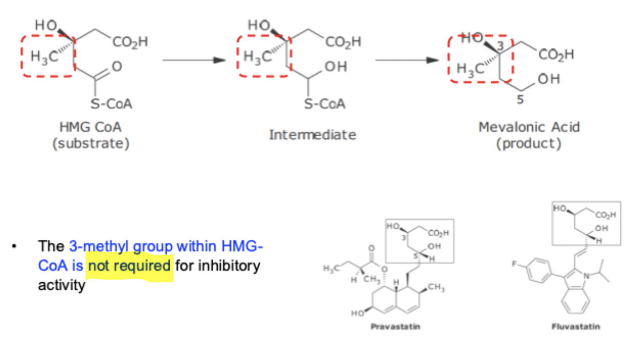 <ul><li><p>Mimics substrate / product / transition state</p></li><li><p>3 - methyl group NOT required for inhibitory effect</p></li></ul><p></p>