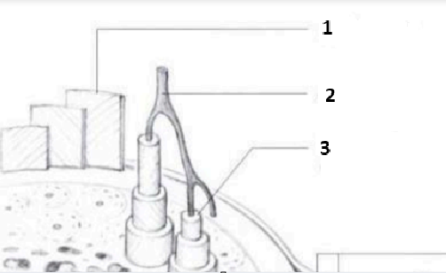 <p>Vad är nummer 3?</p>