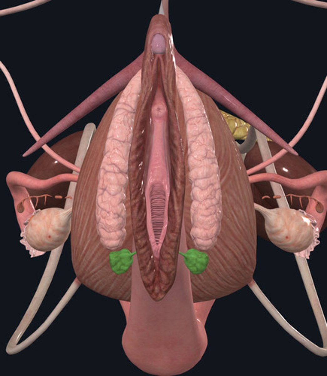 <p>ID Structures Highlighted Green</p>