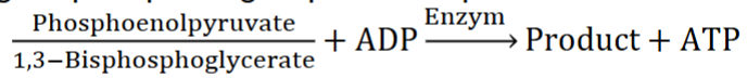<ul><li><p><span style="color: rgb(0, 0, 0);">I. ATP can be formed through a variety of mechanisms</span></p></li><li><p><span style="color: rgb(0, 0, 0);">II. Substrate-level phosphorylation</span></p><ul><li><p><span style="color: rgb(0, 0, 0);">A. Transfer of phosphoryl group from molecules with higher phosphate group-transfer potentials (look at pic)</span></p></li></ul></li></ul><p></p>