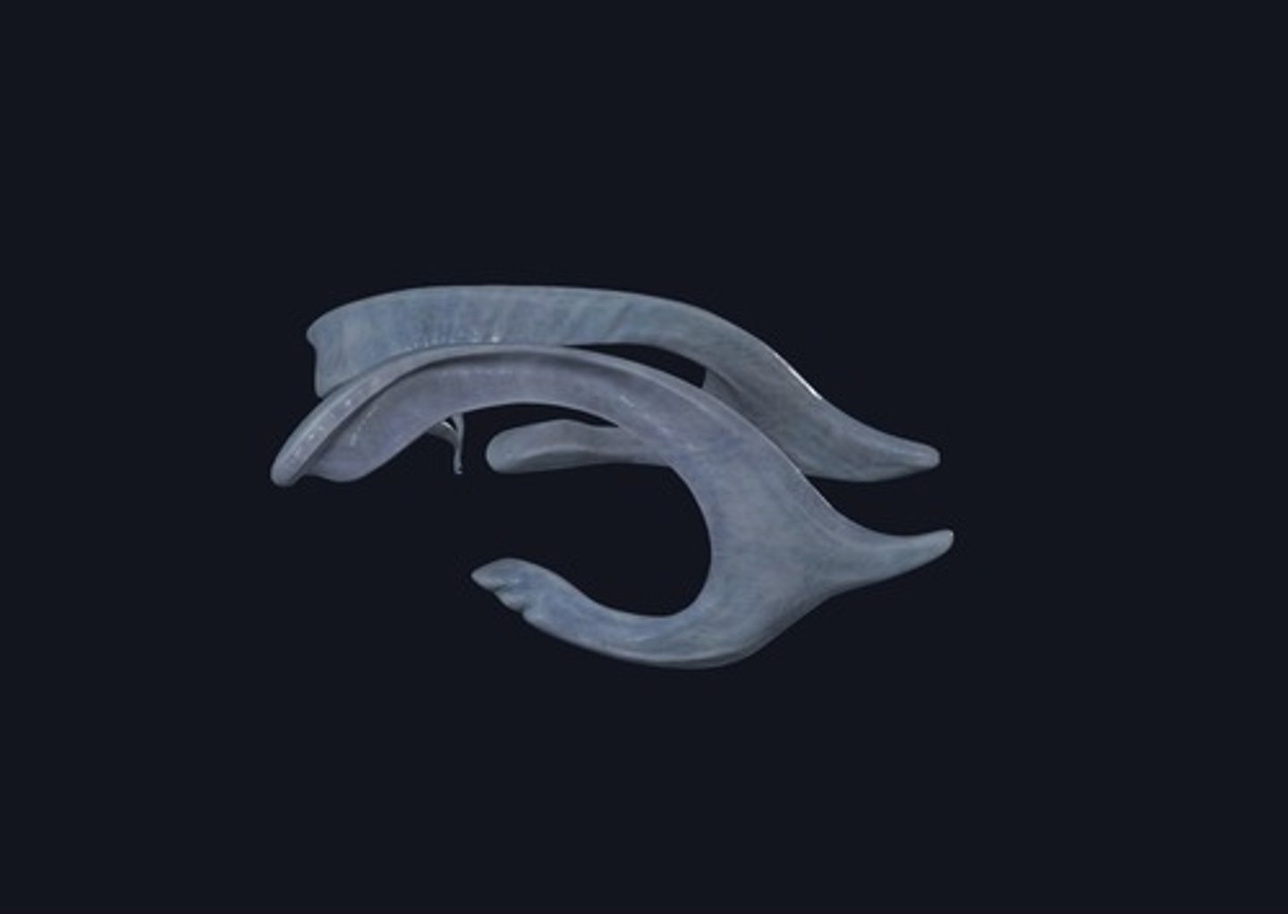 <p>Name this Structure.</p>