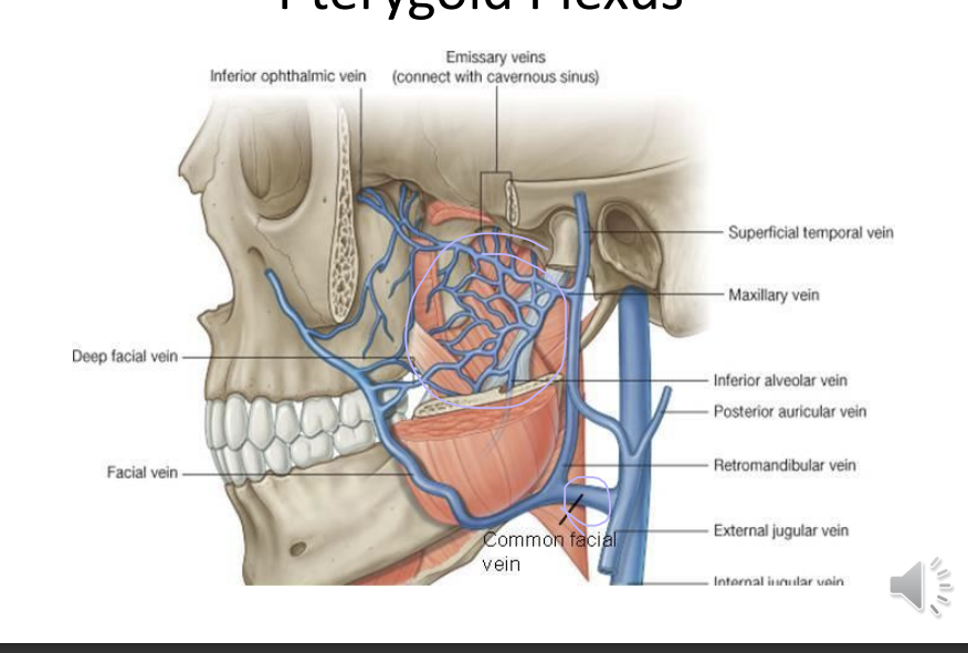 <p>What i this image showing?</p>