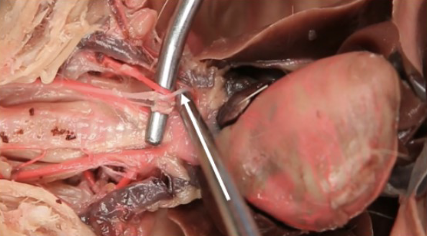 <p>What is this?</p>