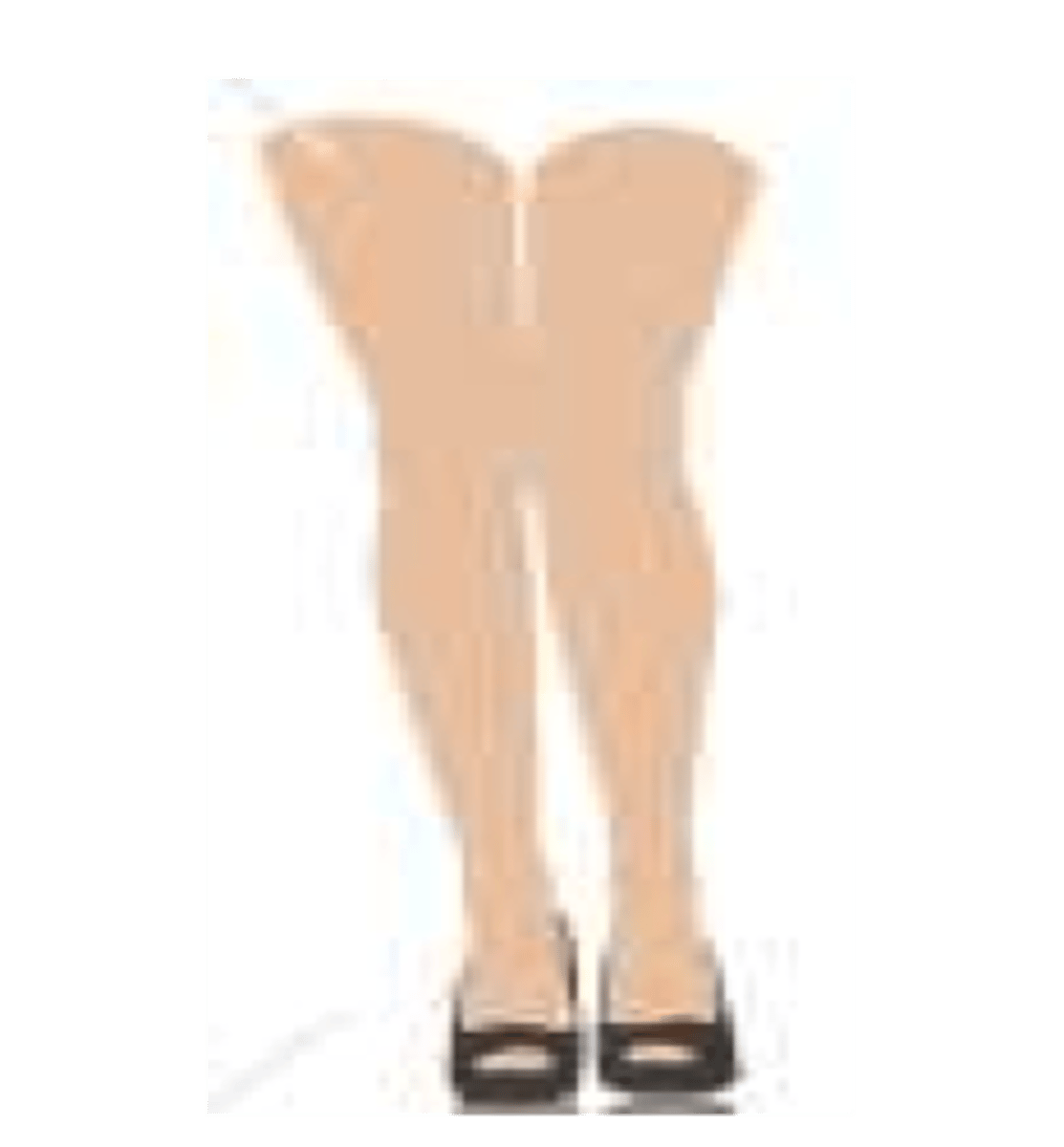 <p>the leg</p>