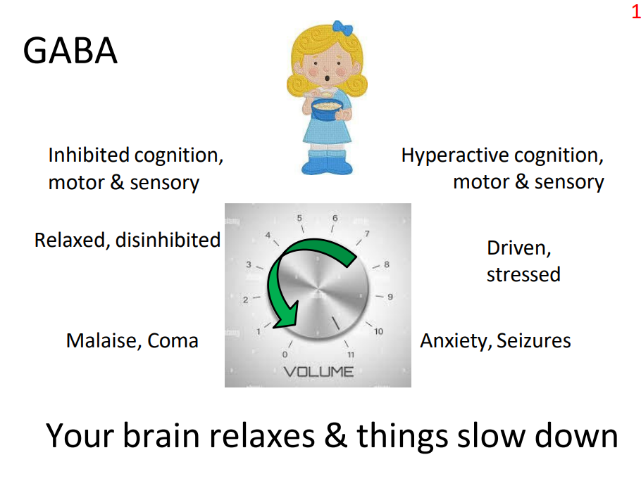 <p>IF U HAVE TOO MUCH:</p><p>- Inhibited cognition, motor and sensory</p><p>- relaxed, disinhibited</p><p>- malaise, coma</p><p>.</p><p>- your brain relaxes and things slow down</p>