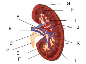 <p>What is F?</p>