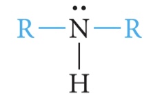 <p>2 carbon</p>