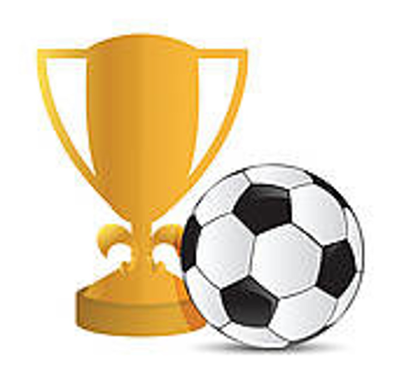 <p>tournament</p>
