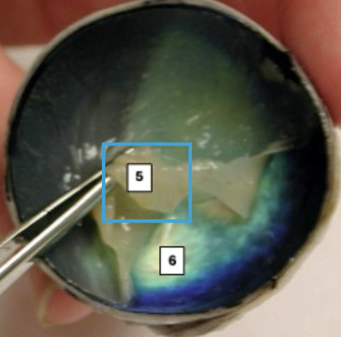 <p>What is this highlighted figure?</p>