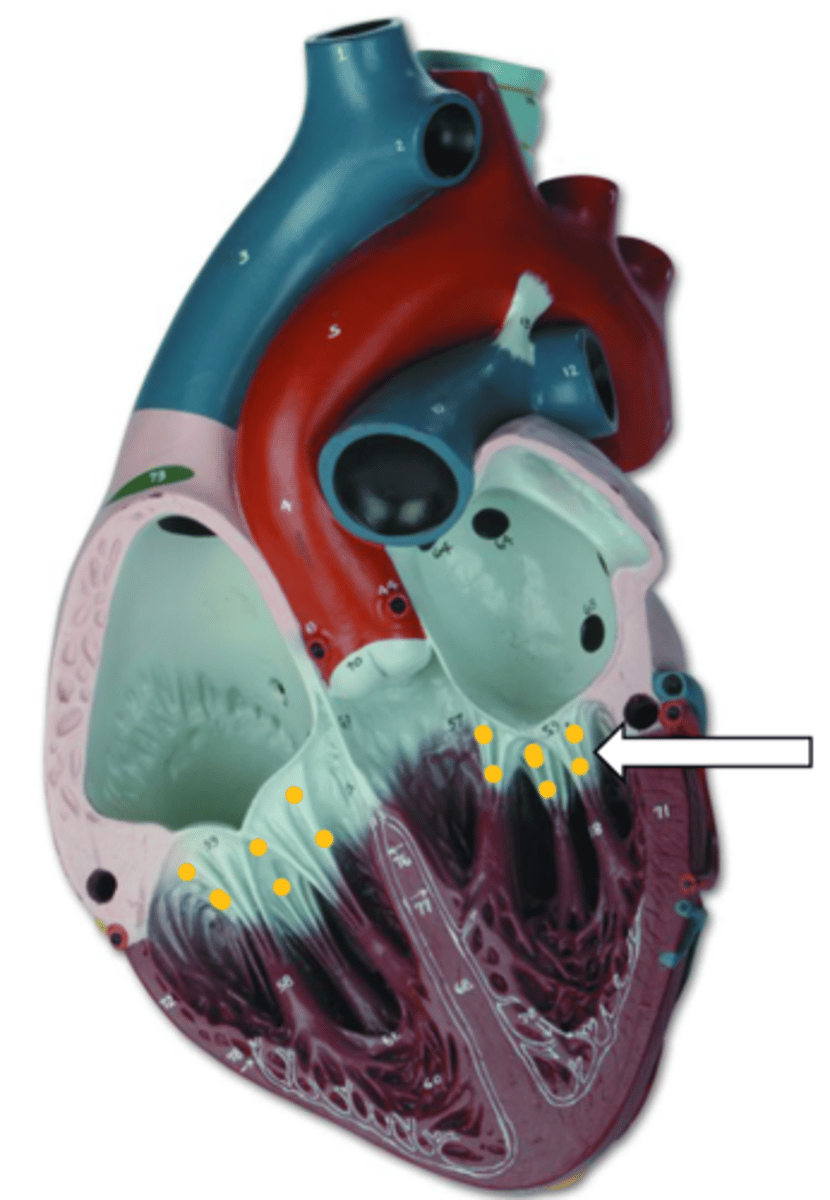 <p>name the structure</p>