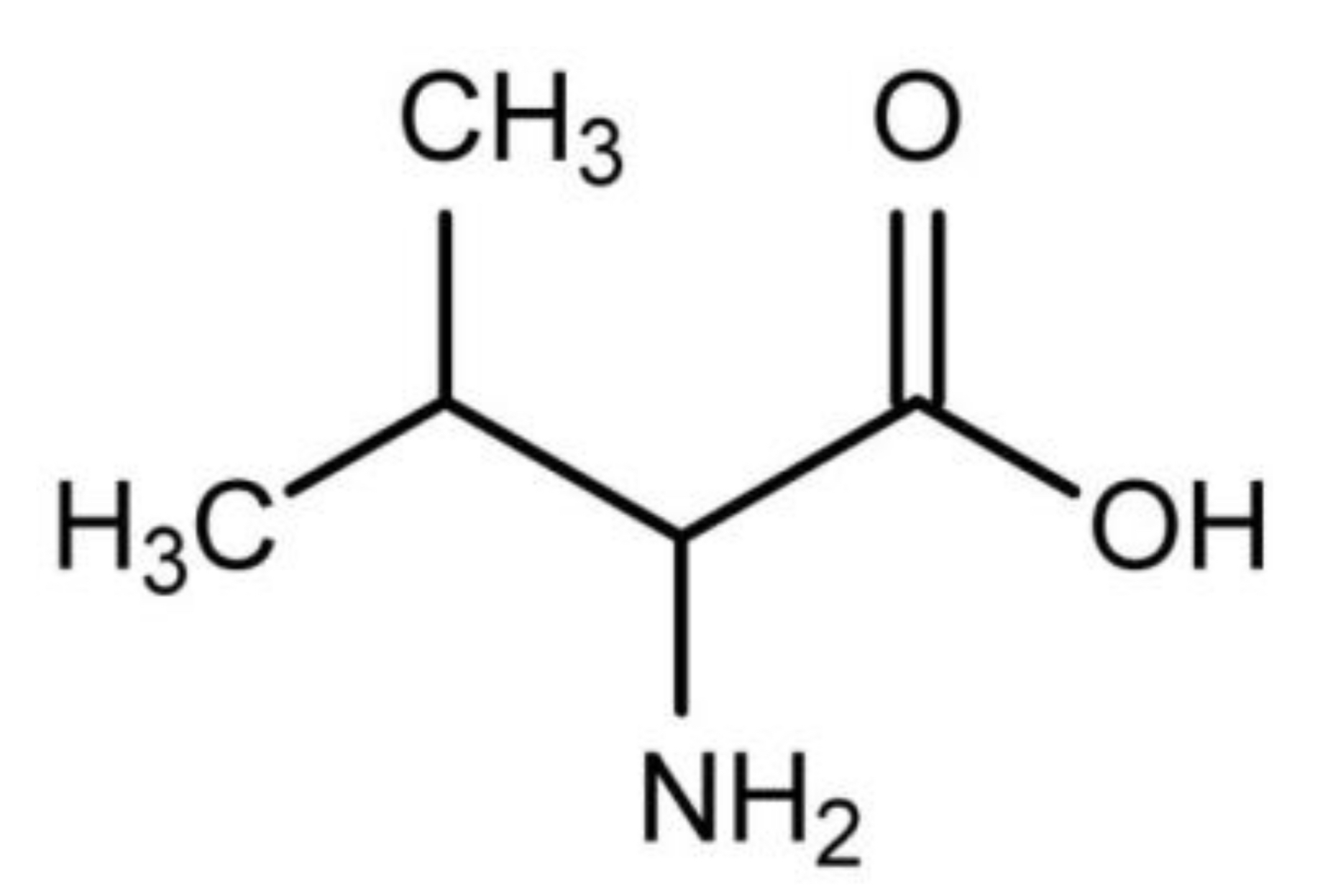 The amino acid pictured:

* Is classified as a charged amino acid 
* Is likely to be found in the hydrophobic core of a protein 
* When found at the N-terminus of a protein (at physiological pH) has no net charge 
* Has a sidechain which commonly forms hydrogen bonds that stabilise alpha helices