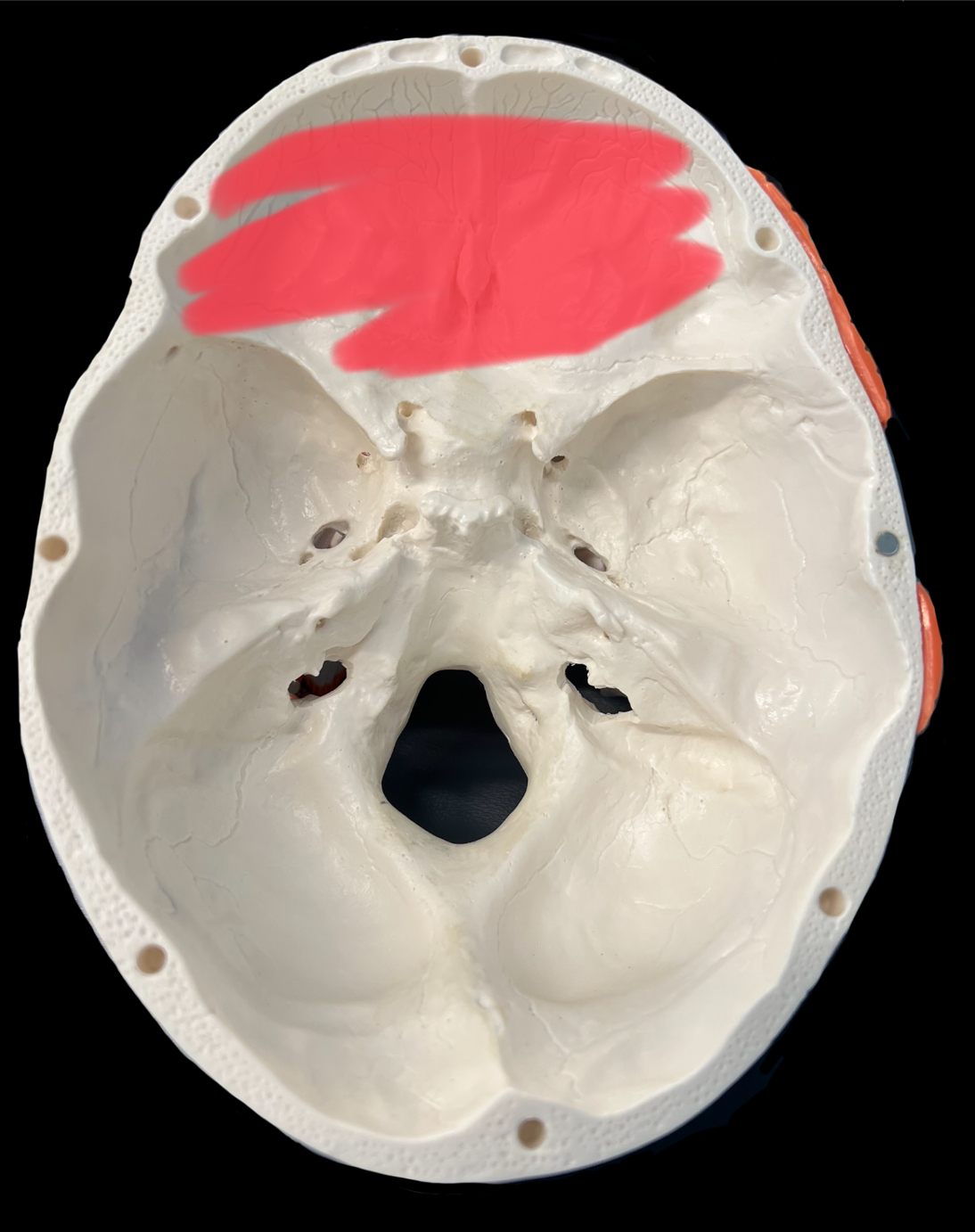 What is highlighted in red?