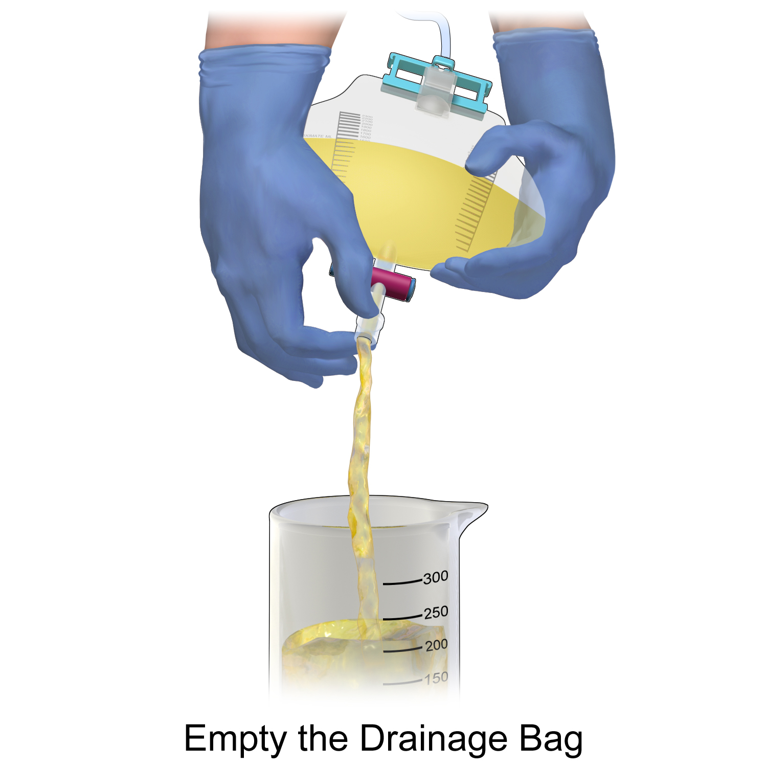 <p>What is important to ensure when draining urine from a collection bag?</p>