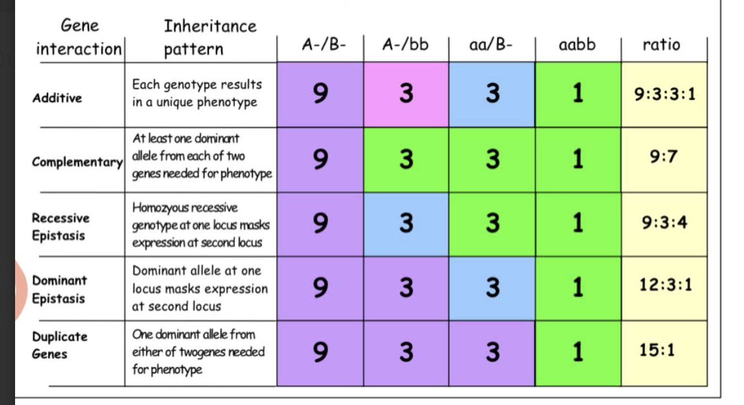 knowt flashcard image