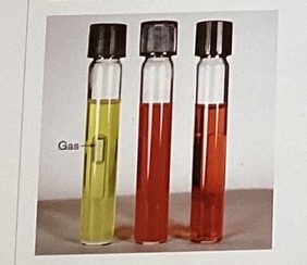 <p>Which shows phenol red test result of heterolactic fermentation?</p>