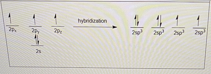 <p>oxygen, a group 6 element, has 6 valence electrons shown on the left. after sp3 hybridization, the valence electrons are distributed as shown on the right - each orbital gets one electron before any orbital gets paired up. this is due to which effect?</p>