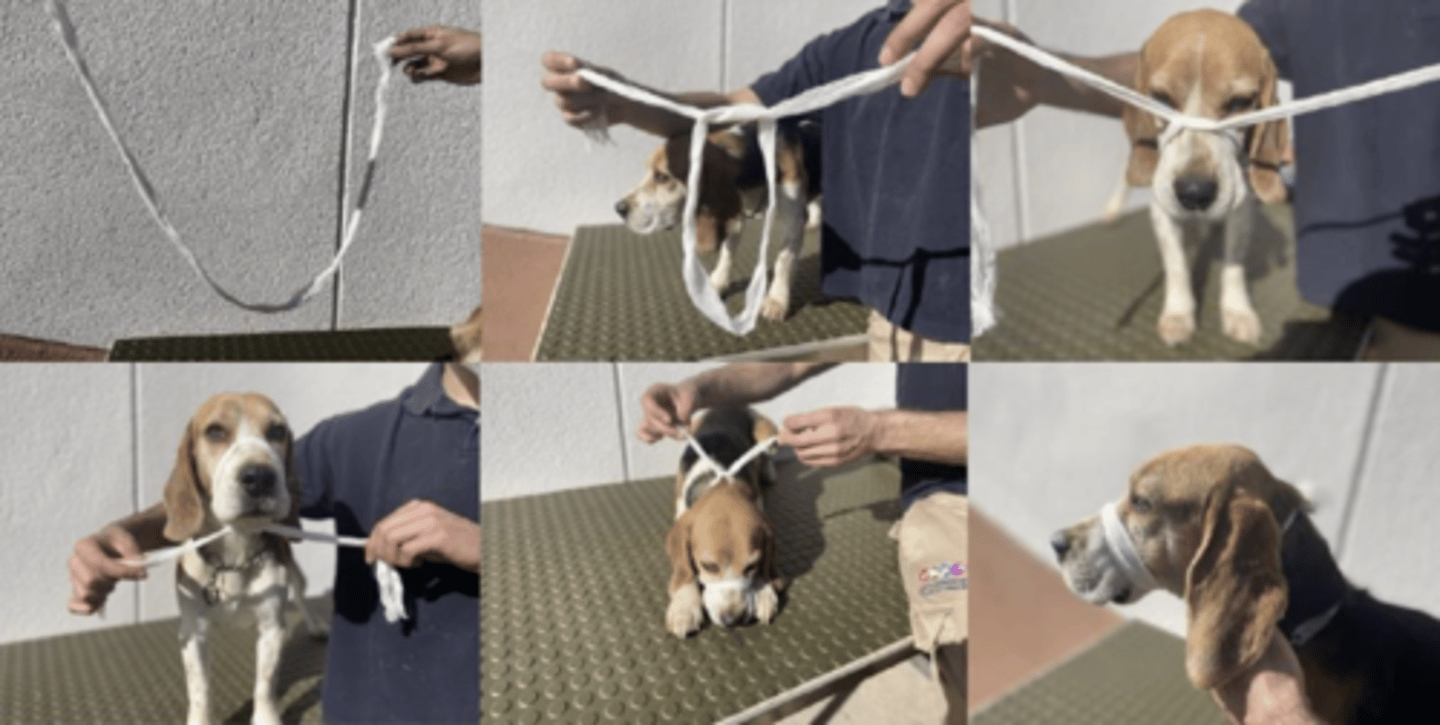 <p>what is happening here ?</p>