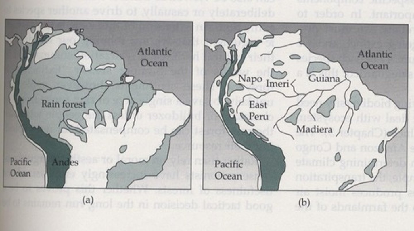 <p>They act as barriers, creating rain shadow deserts.</p>