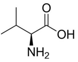 C5H11NO2