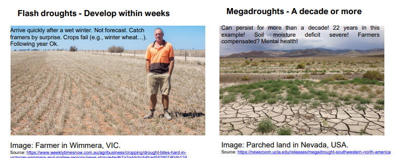 <p>Variants of Drought</p>