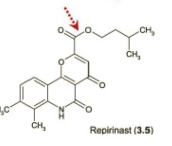 <p>Name Enzyme</p>