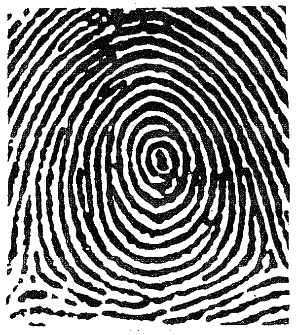 <p>?</p>
