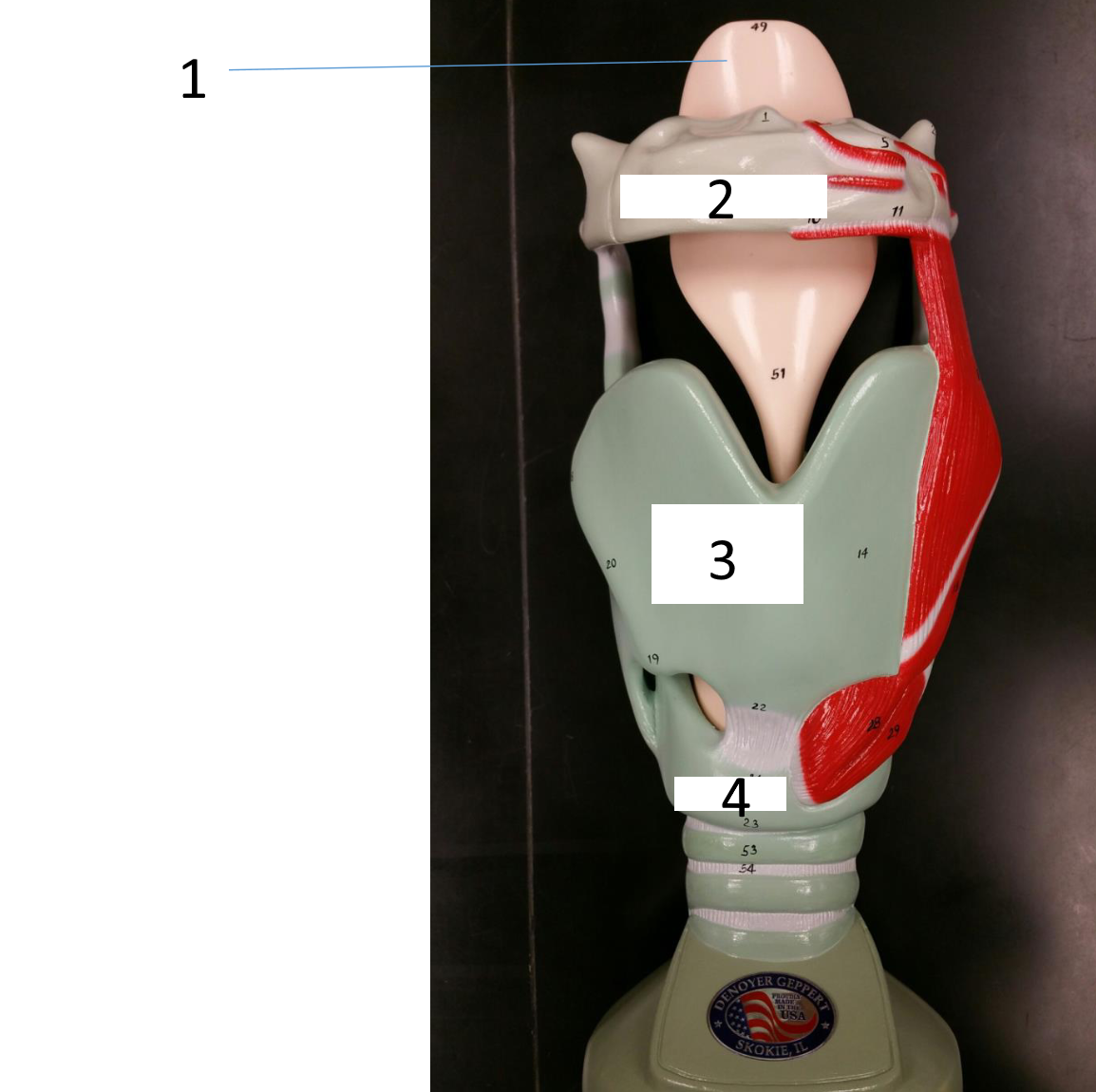 <p>3</p>
