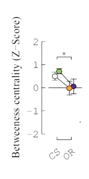 <ul><li><p>Two Drosophila strains (Canton-S and Oregon-R) consistently showed differences in BC.</p></li><li><p>BC was found to be heritable across networks, including in humans.</p></li></ul><p></p>