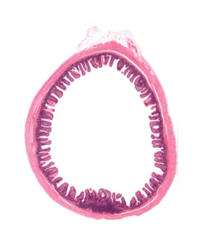 <p>What is this?</p>