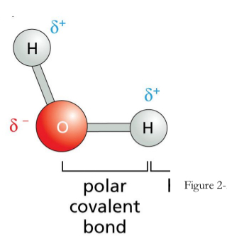 <p><span>One atom has a partial negative charge and the other atom has a partial positive charge</span></p>