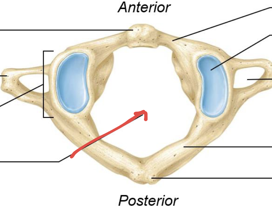 <p>what is this?</p>