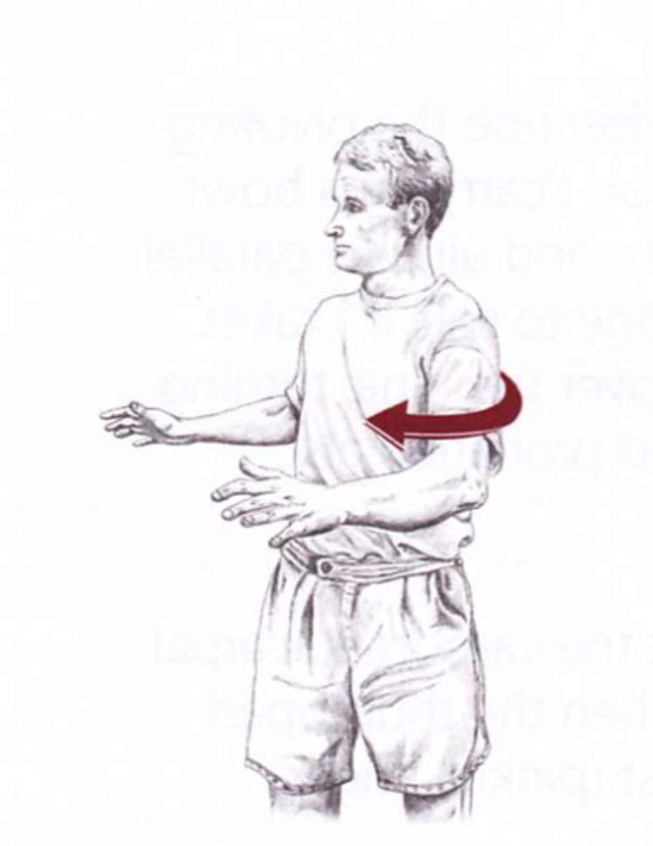 <p>rotary movement of spine in horizontal plane</p><p>*accessory motions are lateral flexion due to same coupling in cervical and upper thoracic spine</p><p>**exception with lower T &amp; L in neutral coupling then opposite</p><p>***motion segment is flexed or extended spine the couple will be the same</p>