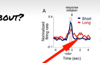 <p>whats up with this acitivty? <span style="background-color: transparent;"><strong><span>Roesch et al (2009)</span></strong></span></p>