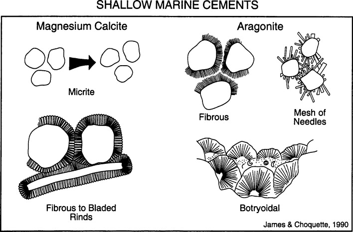 <p>Aragonite cements tend to form splays, acicular, botryoidal, and fibrous crustal structures (uncommon in ancient rock)</p><p>Magnesium-calcite cements tend to form stubby, bladed, and peloidal structures</p>