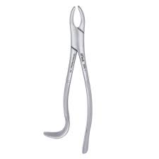 <p>maxillary first and second molar</p>