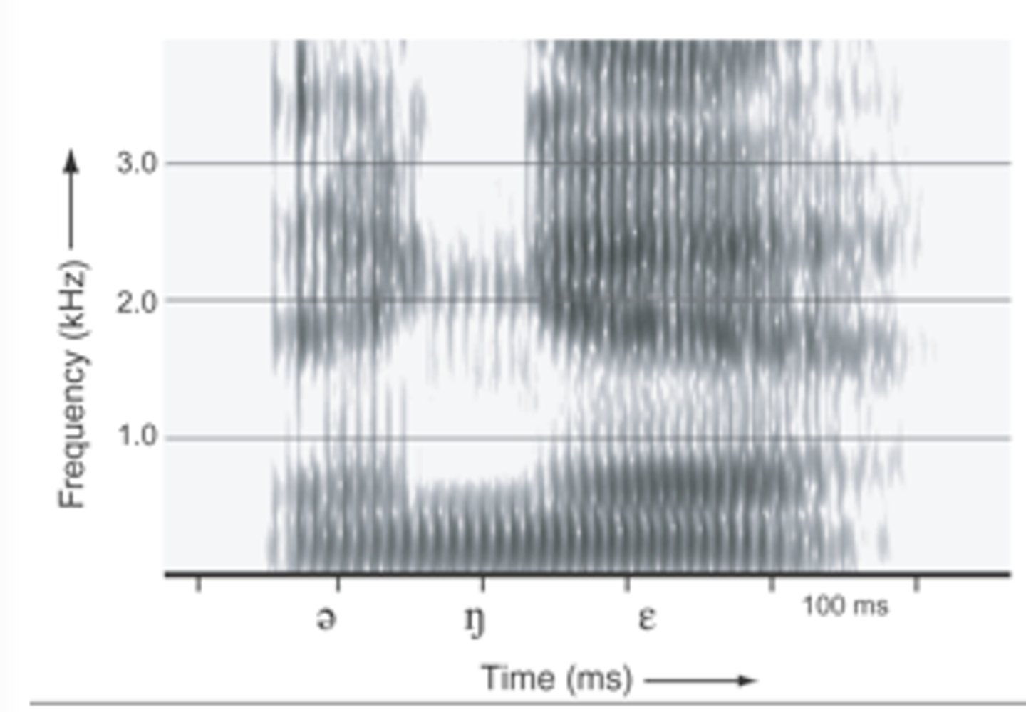 <p>Shows the frequencies of sound and how they change over time</p>