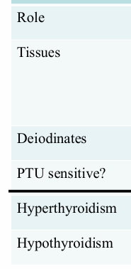<p>deiodinases- D1, D2, D3</p>