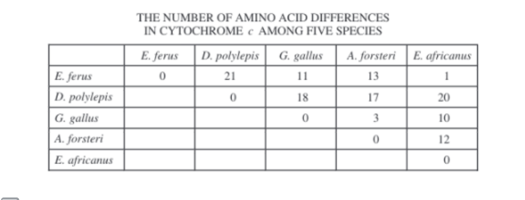 <p><span>The amino acid sequence of cytochrome c was determined for five different species of vertebrates. The table below shows the number of differences in the sequences between each pair of species. Using the data in the table, which of the following characteristics would a resulting phylogenetic tree showing the relationship between the 5 species have? Check all that apply.</span></p>