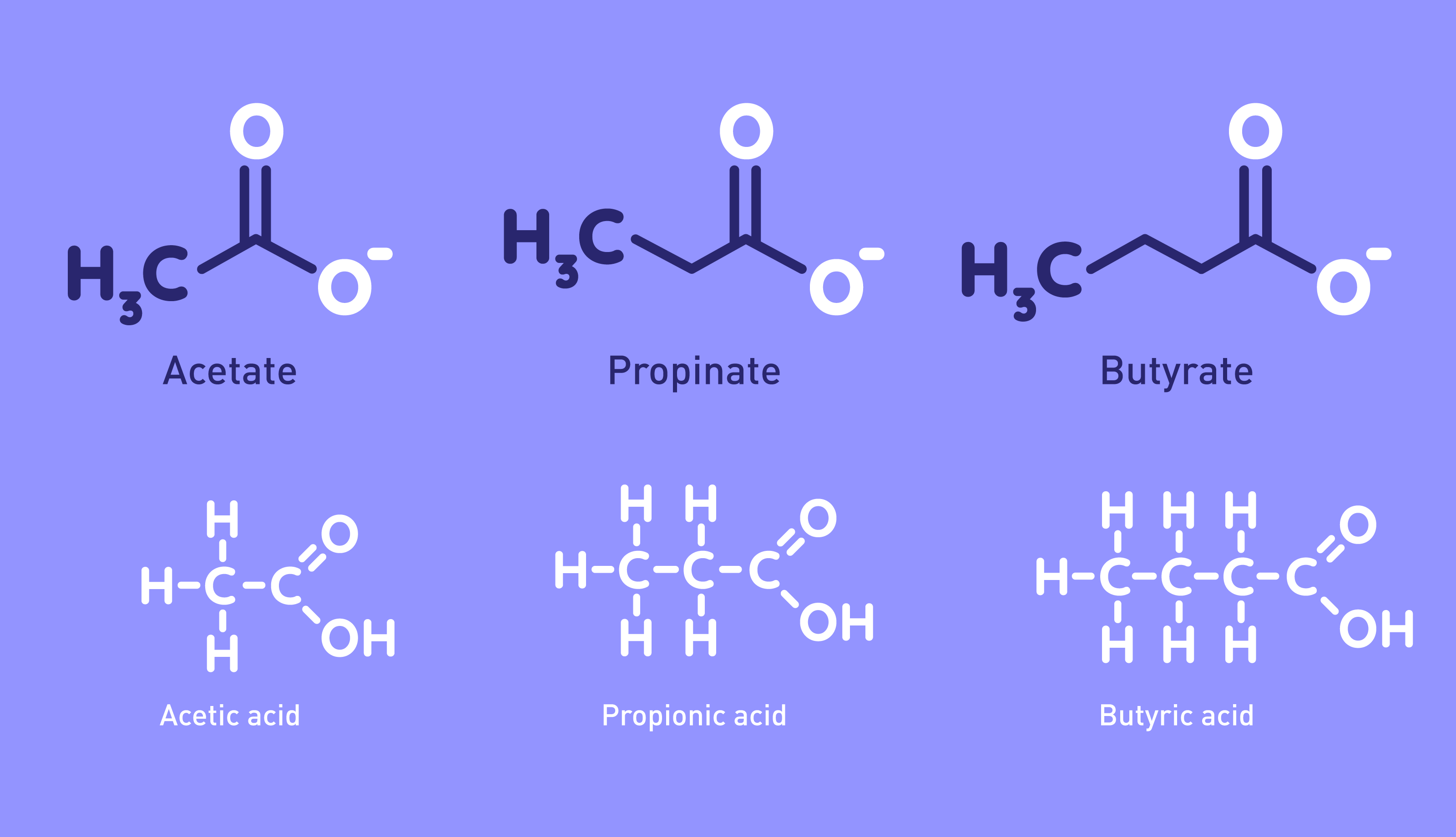 * refers to the ion or ester derived from acetic acid. 
* plays a crucial role in various metabolic pathways, including the citric acid cycle, fatty acid synthesis, and cholesterol synthesis. 
* an important source of energy for cells and is involved in the production of ATP through cellular respiration. 
* can also be converted into other molecules, such as acetyl-CoA, which is a key intermediate in many biochemical reactions.