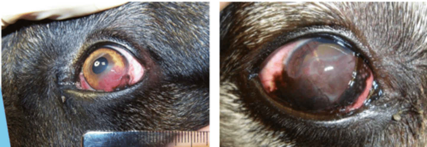 <p>what is this called?</p>