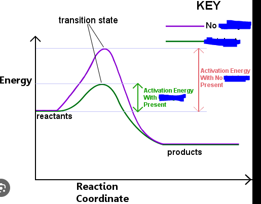 <p>Any solute or molecule that speeds up a reaction and makes it occur more quickly or that even allows a reaction to occur in general without itself being a reactant. These lower the activation energy needed for reactions.</p><p>They lower the activation energy by holding reactants in such a way that the bond breaking and making processes take place more readily. They allow reactants to overcome electrical repulsion more easily between each other.</p><p>The picture attached shows a comparison of the amount of activation energy needed when there is a ____ present vs when there is not.</p>